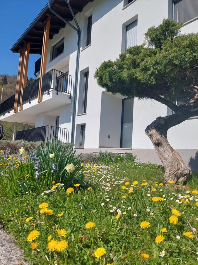 Apartments Alpa Vita コバリード エクステリア 写真